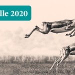 FD Gazelle 2020